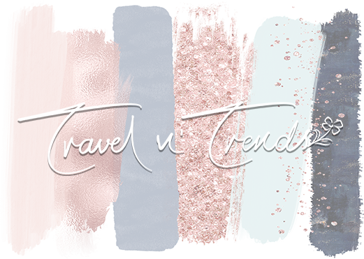 Travel n Trends logo footer